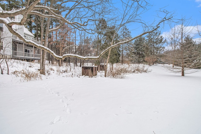 view of yard covered in snow