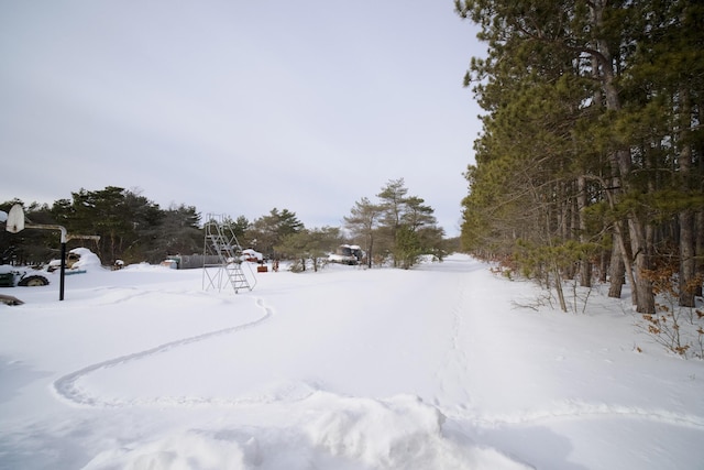 view of yard covered in snow