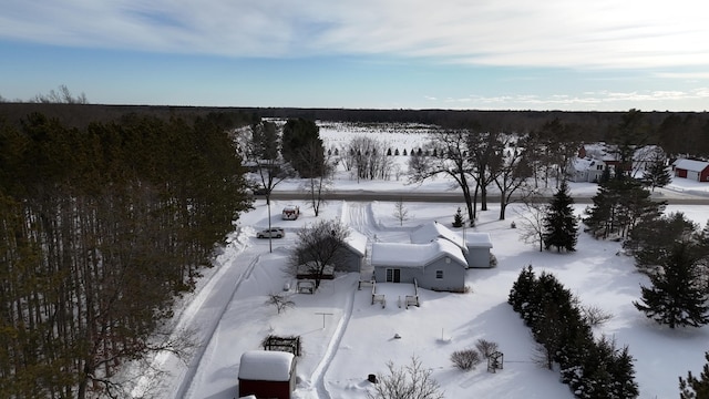 view of snowy aerial view