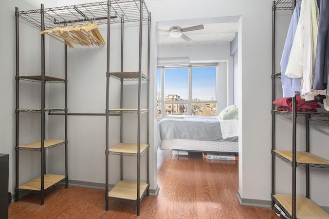 spacious closet featuring ceiling fan and wood finished floors