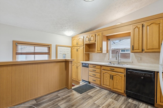 kitchen featuring a sink, a textured ceiling, light countertops, lofted ceiling, and dishwasher