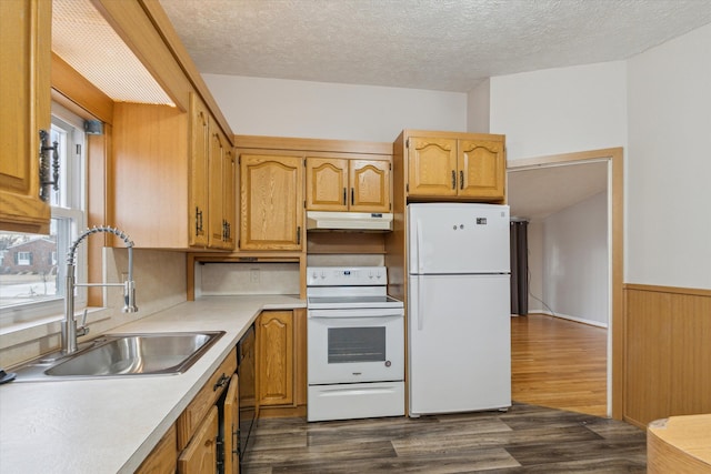 kitchen with white appliances, light countertops, under cabinet range hood, and a sink