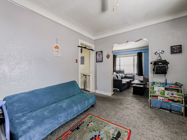 carpeted living area featuring a barn door and baseboards