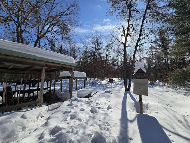 view of yard covered in snow