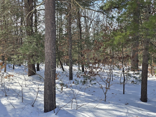 view of snowy view