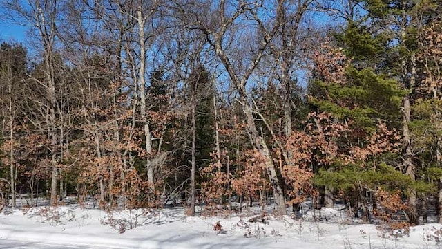 view of snowy view