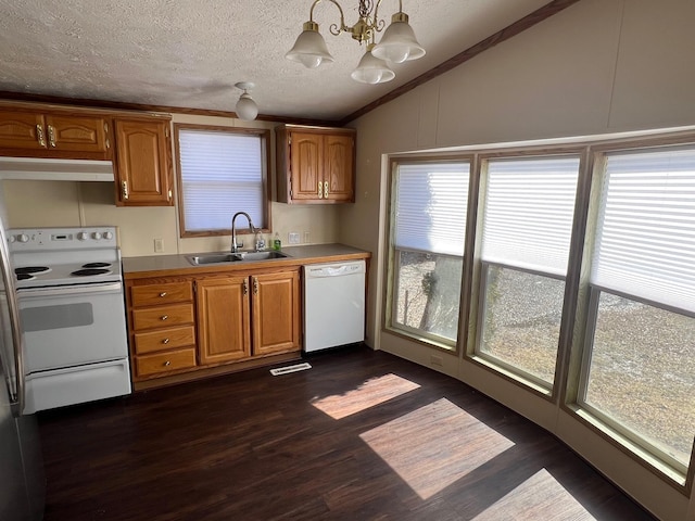 kitchen with white appliances, brown cabinetry, hanging light fixtures, under cabinet range hood, and a sink