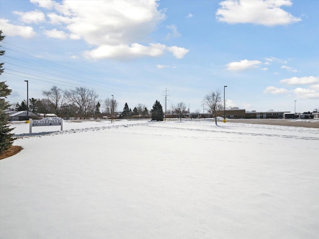 view of yard layered in snow