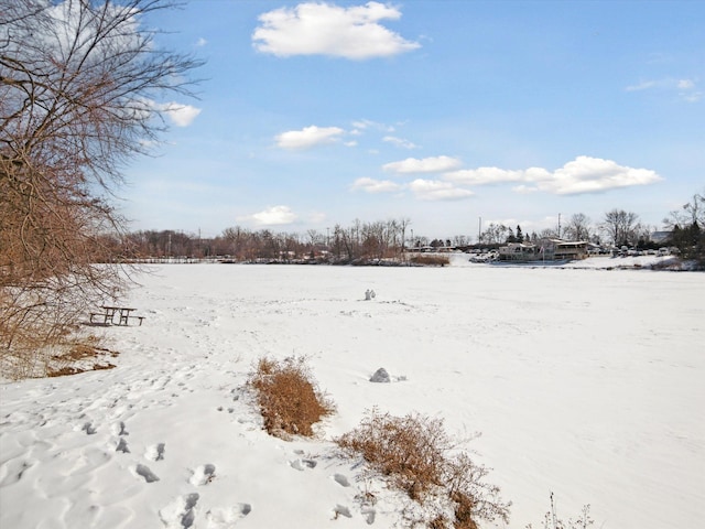 view of yard covered in snow