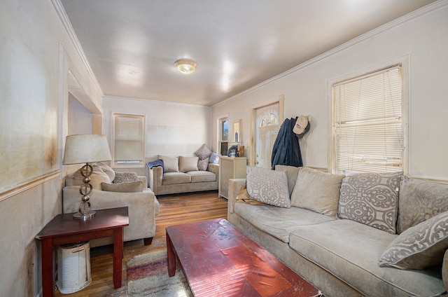 living area with wood finished floors and crown molding