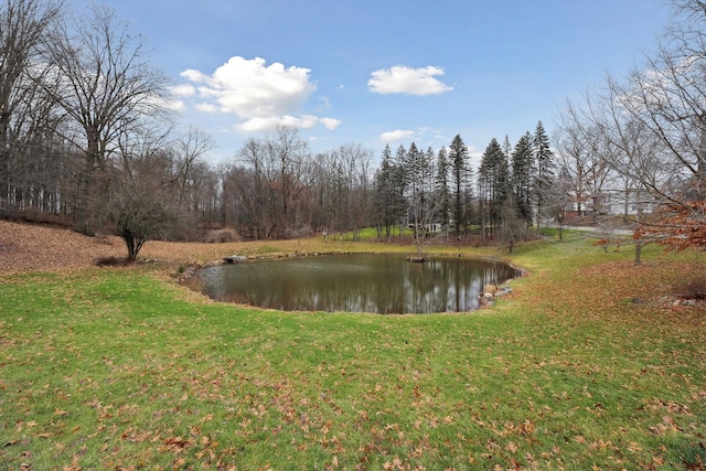 property view of water