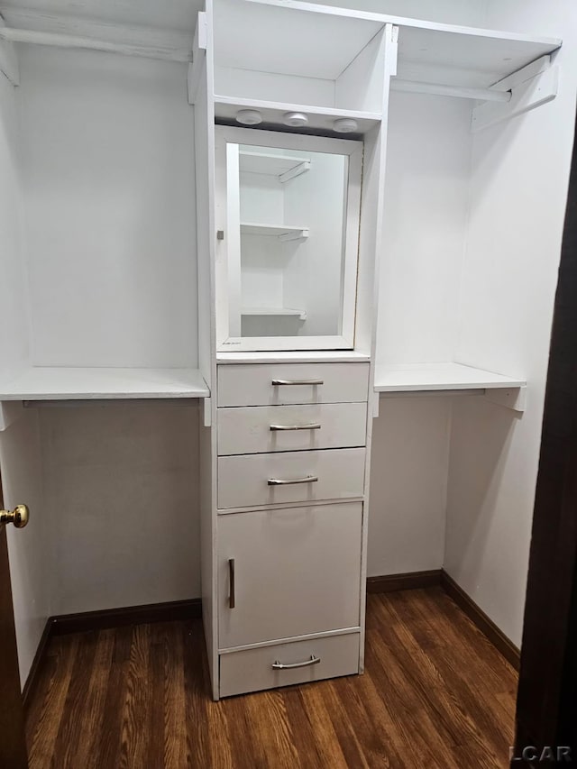 spacious closet featuring dark wood-style flooring