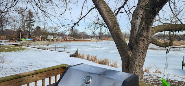 view of yard layered in snow