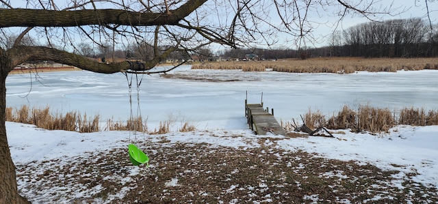 view of yard layered in snow