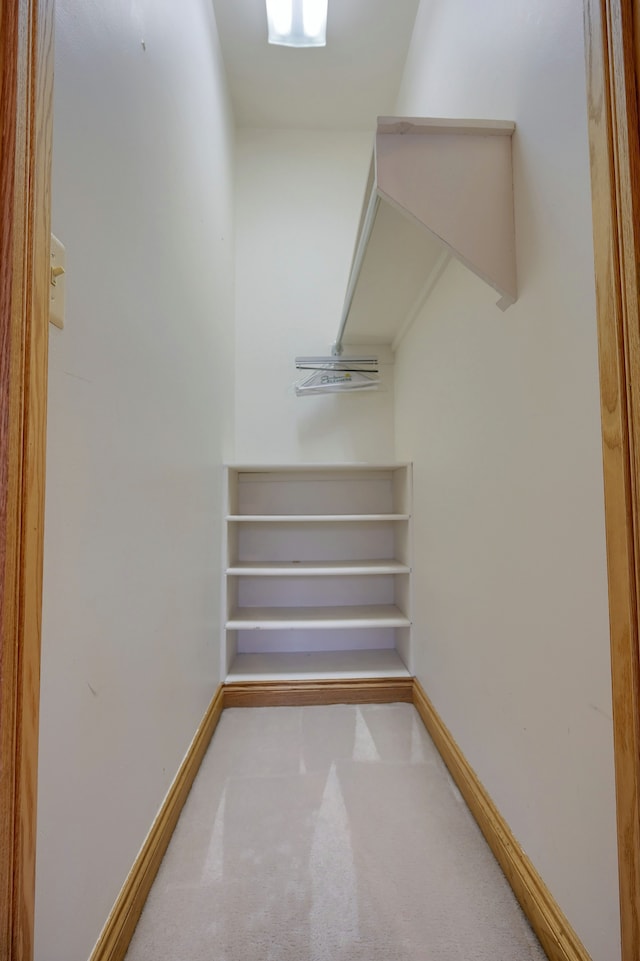 walk in closet with light colored carpet