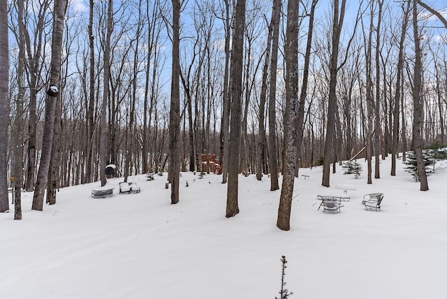 view of snowy yard