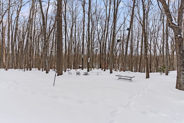 view of yard layered in snow