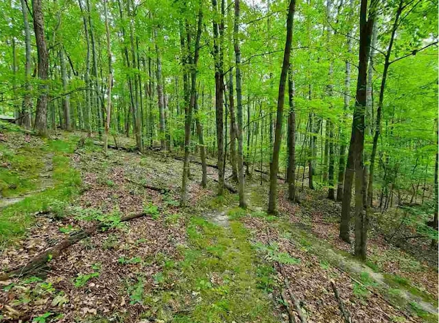 view of landscape featuring a view of trees