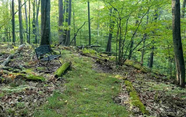 view of local wilderness with a forest view