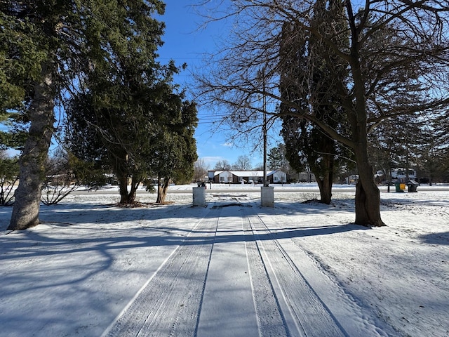 view of snowy yard