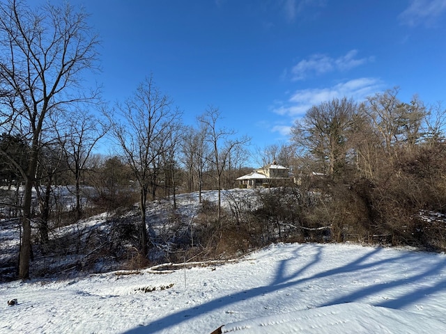 view of yard covered in snow