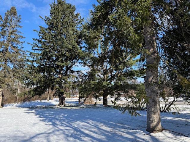 view of snowy yard