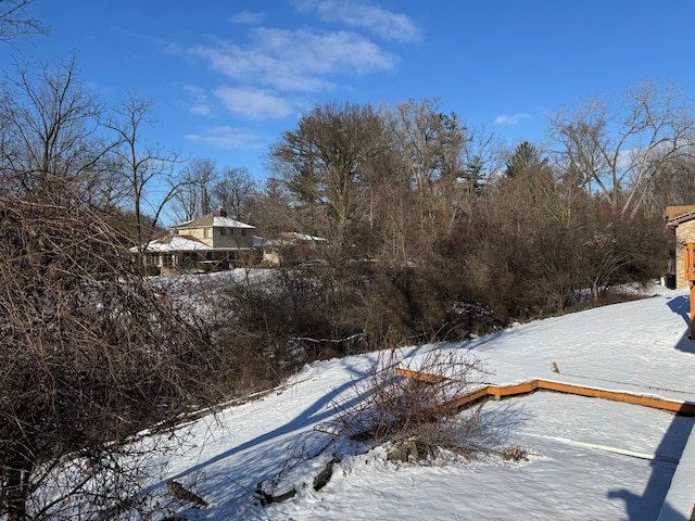 view of yard covered in snow