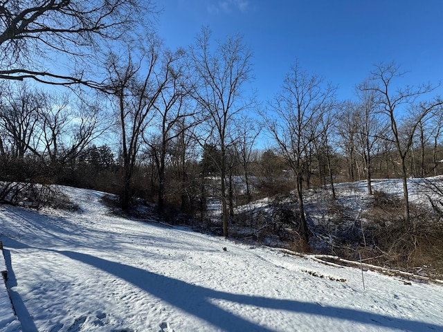 view of yard covered in snow