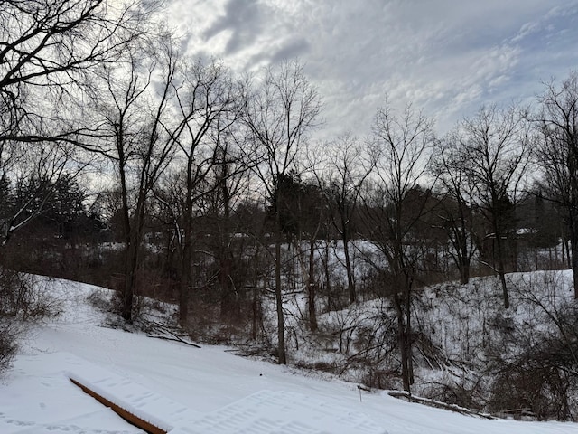 view of yard covered in snow