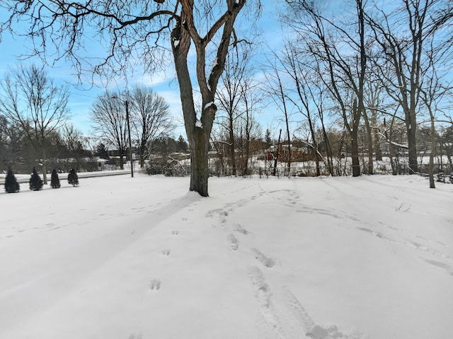 view of snowy yard