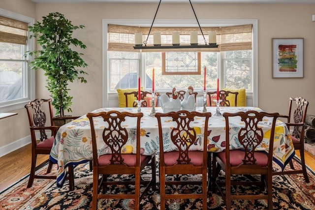 dining room with baseboards and wood finished floors