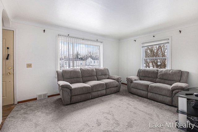 living area with a wealth of natural light, carpet, visible vents, and baseboards