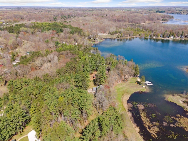 8872 Hidden Harbor Dr, Rodney, MI 49342 - photo 41