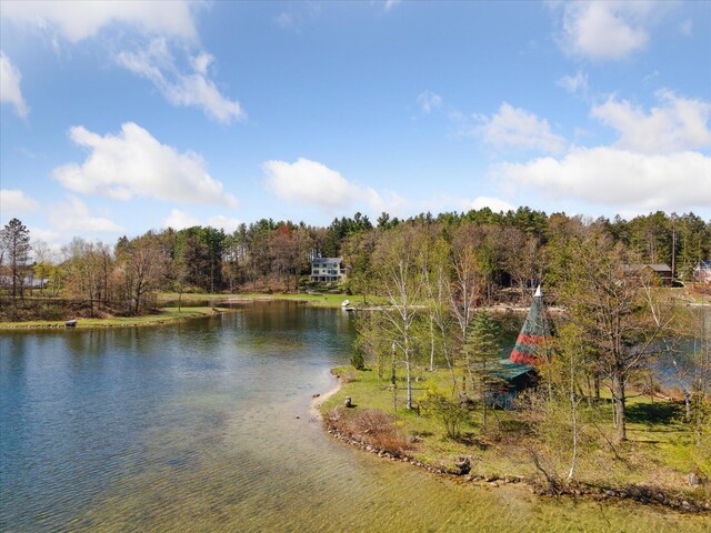 8872 Hidden Harbor Dr, Rodney, MI 49342 - photo 52