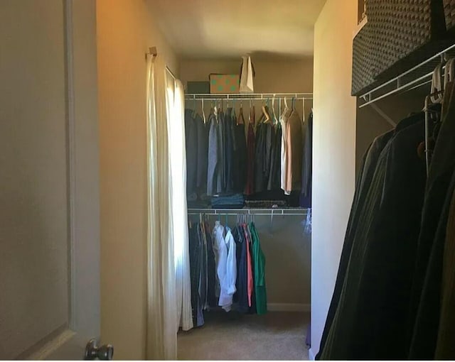 view of spacious closet