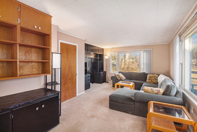 living room with a wealth of natural light and light colored carpet