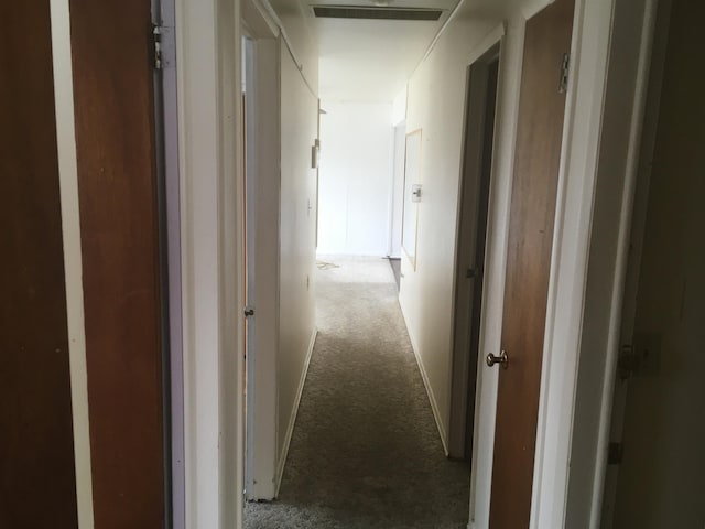 corridor with carpet floors