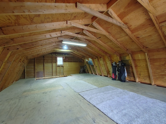 view of unfinished attic