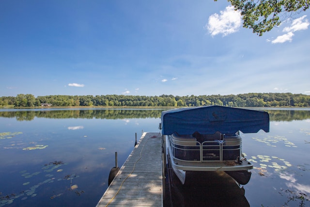 view of dock with a water view and a view of trees