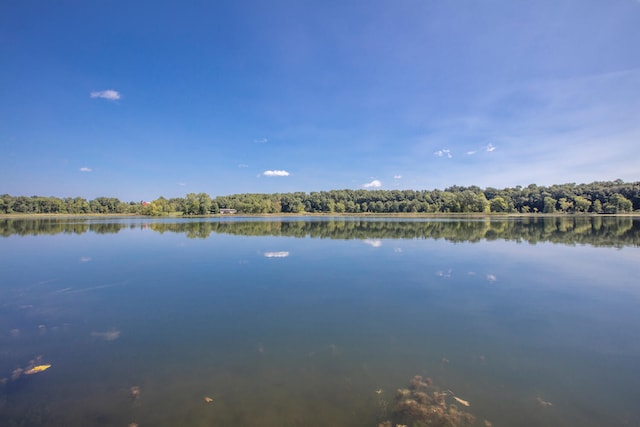 water view featuring a wooded view