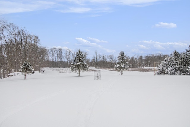 view of snowy yard