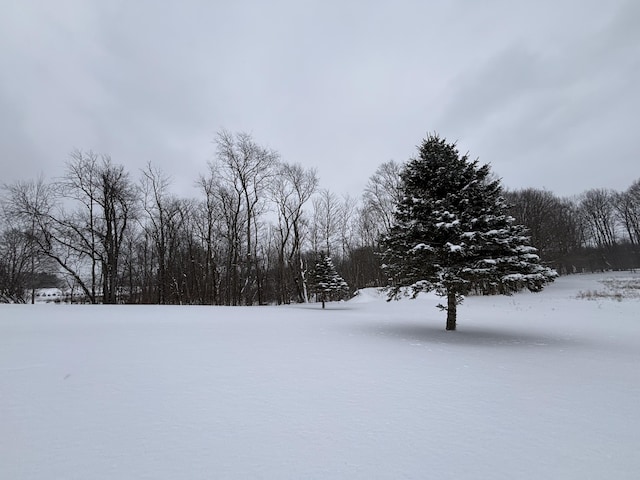 view of snowy yard