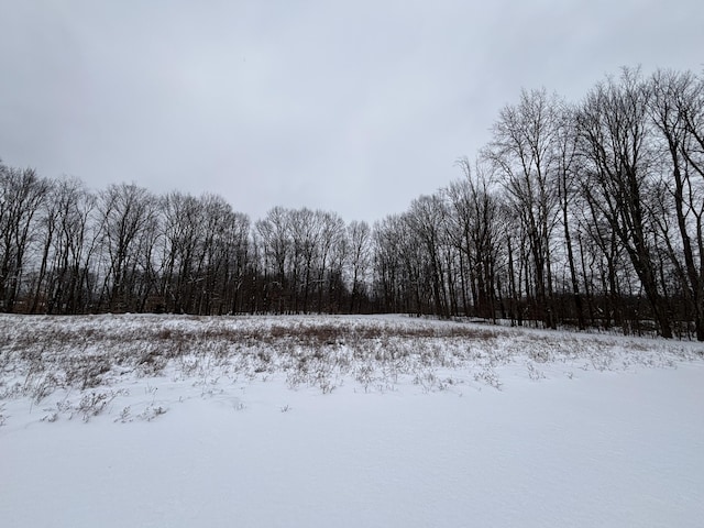 view of yard covered in snow