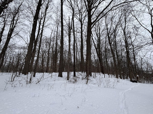 view of yard layered in snow