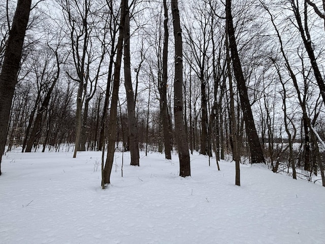 view of yard layered in snow