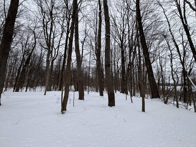 view of yard covered in snow