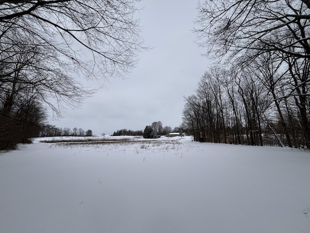 view of yard covered in snow