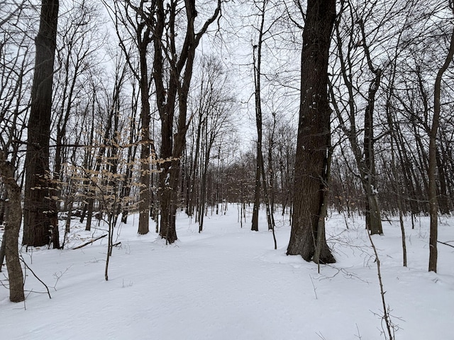 view of yard covered in snow