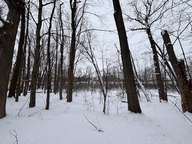 view of snowy landscape