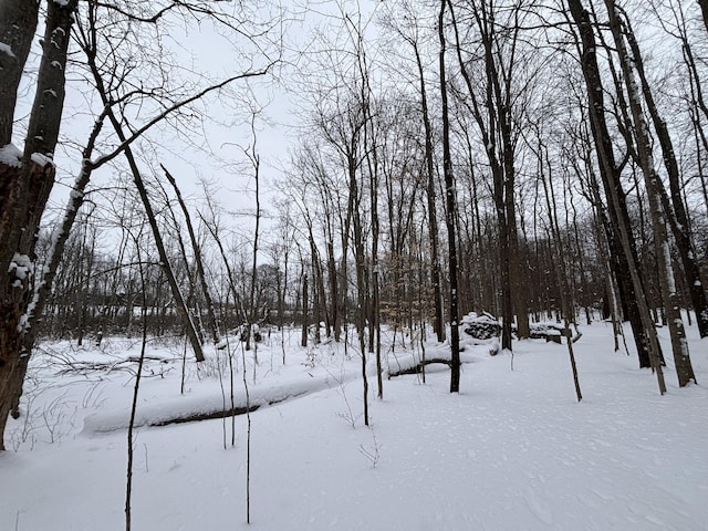 view of yard covered in snow